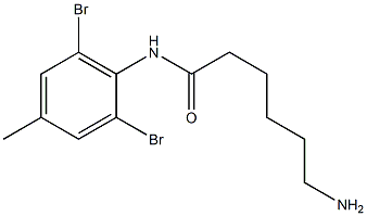 6-amino-N-(2,6-dibromo-4-methylphenyl)hexanamide Struktur