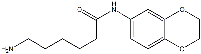 6-amino-N-2,3-dihydro-1,4-benzodioxin-6-ylhexanamide Struktur