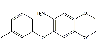 7-(3,5-dimethylphenoxy)-2,3-dihydro-1,4-benzodioxin-6-amine Struktur