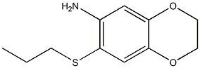 7-(propylsulfanyl)-2,3-dihydro-1,4-benzodioxin-6-amine Struktur