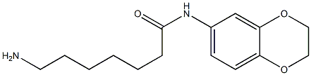 7-amino-N-2,3-dihydro-1,4-benzodioxin-6-ylheptanamide Struktur