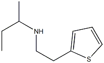 butan-2-yl[2-(thiophen-2-yl)ethyl]amine Struktur