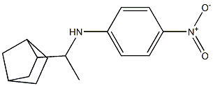 N-(1-{bicyclo[2.2.1]heptan-2-yl}ethyl)-4-nitroaniline Struktur