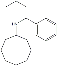 N-(1-phenylbutyl)cyclooctanamine Struktur