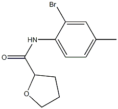 N-(2-bromo-4-methylphenyl)tetrahydrofuran-2-carboxamide Struktur