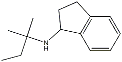 N-(2-methylbutan-2-yl)-2,3-dihydro-1H-inden-1-amine Struktur