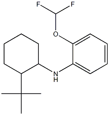 N-(2-tert-butylcyclohexyl)-2-(difluoromethoxy)aniline Struktur