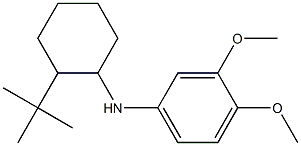 N-(2-tert-butylcyclohexyl)-3,4-dimethoxyaniline Struktur