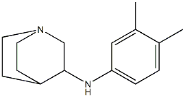 N-(3,4-dimethylphenyl)-1-azabicyclo[2.2.2]octan-3-amine Struktur