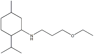 N-(3-ethoxypropyl)-5-methyl-2-(propan-2-yl)cyclohexan-1-amine Struktur