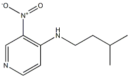 N-(3-methylbutyl)-3-nitropyridin-4-amine Struktur