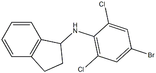 N-(4-bromo-2,6-dichlorophenyl)-2,3-dihydro-1H-inden-1-amine Struktur