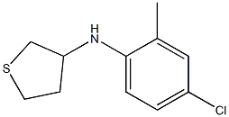 N-(4-chloro-2-methylphenyl)thiolan-3-amine Struktur