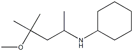 N-(4-methoxy-4-methylpentan-2-yl)cyclohexanamine Struktur