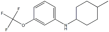 N-(4-methylcyclohexyl)-3-(trifluoromethoxy)aniline Struktur