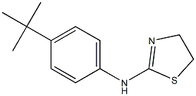 N-(4-tert-butylphenyl)-4,5-dihydro-1,3-thiazol-2-amine Struktur