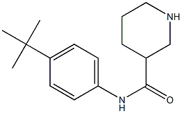 N-(4-tert-butylphenyl)piperidine-3-carboxamide Struktur