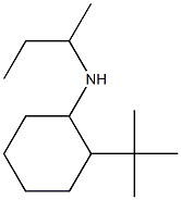 N-(butan-2-yl)-2-tert-butylcyclohexan-1-amine Struktur