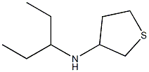 N-(pentan-3-yl)thiolan-3-amine Struktur