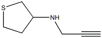 N-(prop-2-yn-1-yl)thiolan-3-amine Struktur