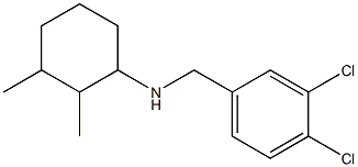 N-[(3,4-dichlorophenyl)methyl]-2,3-dimethylcyclohexan-1-amine Struktur