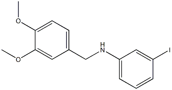 N-[(3,4-dimethoxyphenyl)methyl]-3-iodoaniline Struktur