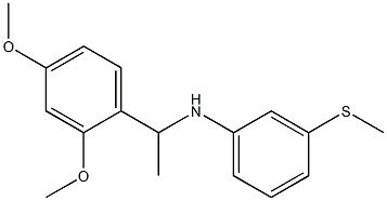 N-[1-(2,4-dimethoxyphenyl)ethyl]-3-(methylsulfanyl)aniline Struktur