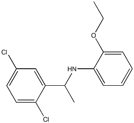 N-[1-(2,5-dichlorophenyl)ethyl]-2-ethoxyaniline Struktur