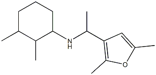 N-[1-(2,5-dimethylfuran-3-yl)ethyl]-2,3-dimethylcyclohexan-1-amine Struktur