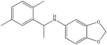 N-[1-(2,5-dimethylphenyl)ethyl]-2H-1,3-benzodioxol-5-amine Struktur