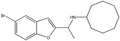 N-[1-(5-bromo-1-benzofuran-2-yl)ethyl]cyclooctanamine Struktur