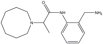 N-[2-(aminomethyl)phenyl]-2-(azocan-1-yl)propanamide Struktur