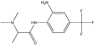 N-[2-amino-4-(trifluoromethyl)phenyl]-2-(dimethylamino)propanamide Struktur