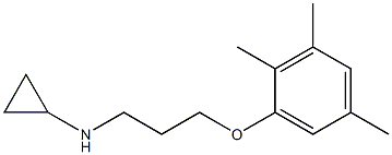 N-[3-(2,3,5-trimethylphenoxy)propyl]cyclopropanamine Struktur