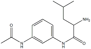 N-[3-(acetylamino)phenyl]-2-amino-4-methylpentanamide Struktur