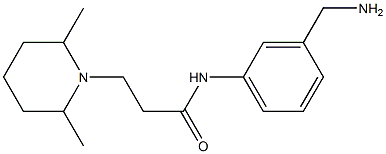 N-[3-(aminomethyl)phenyl]-3-(2,6-dimethylpiperidin-1-yl)propanamide Struktur