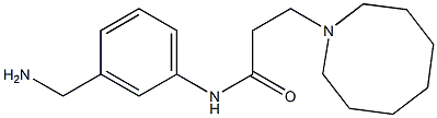 N-[3-(aminomethyl)phenyl]-3-(azocan-1-yl)propanamide Struktur