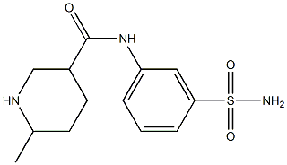 N-[3-(aminosulfonyl)phenyl]-6-methylpiperidine-3-carboxamide Struktur