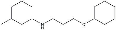 N-[3-(cyclohexyloxy)propyl]-3-methylcyclohexan-1-amine Struktur