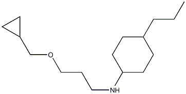 N-[3-(cyclopropylmethoxy)propyl]-4-propylcyclohexan-1-amine Struktur