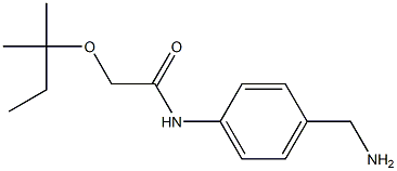 N-[4-(aminomethyl)phenyl]-2-[(2-methylbutan-2-yl)oxy]acetamide Struktur