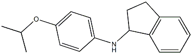 N-[4-(propan-2-yloxy)phenyl]-2,3-dihydro-1H-inden-1-amine Struktur