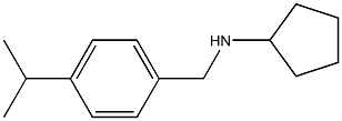 N-{[4-(propan-2-yl)phenyl]methyl}cyclopentanamine Struktur