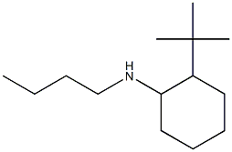 N-butyl-2-tert-butylcyclohexan-1-amine Struktur