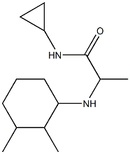 N-cyclopropyl-2-[(2,3-dimethylcyclohexyl)amino]propanamide Struktur