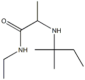 N-ethyl-2-[(2-methylbutan-2-yl)amino]propanamide Struktur