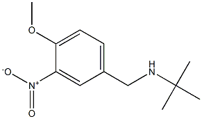 tert-butyl[(4-methoxy-3-nitrophenyl)methyl]amine Struktur