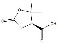 (S)-Tetrahydro-2,2-dimethyl-5-oxo-3-furancarboxylic acid Struktur