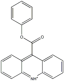 9-(Phenoxycarbonyl)acridinium Struktur