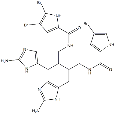 N-[[[2-Amino-4-(2-amino-1H-imidazol-5-yl)-6-[[[(4-bromo-1H-pyrrol-2-yl)carbonyl]amino]methyl]-4,5,6,7-tetrahydro-1H-benzimidazol]-5-yl]methyl]-4,5-dibromo-1H-pyrrole-2-carboxamide Struktur